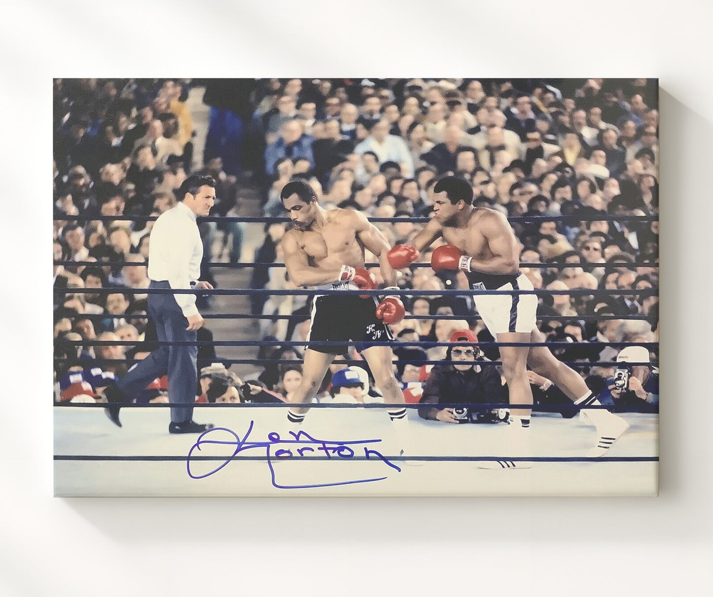 Ken Norton and Muhammad Ali Heavyweight Showdown 20x24 Canvas boxing wall art print – Boxing Wall Art decor