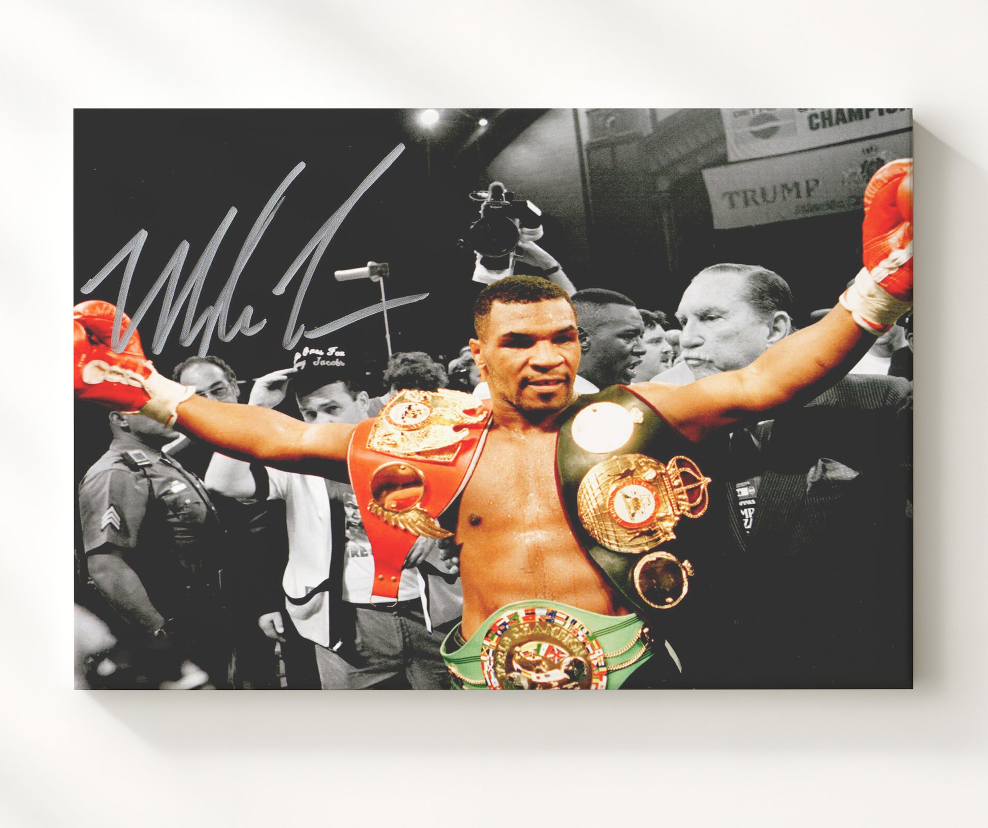 Mike Tyson Iron Reigns Supreme 20x24 Canvas boxing wall art print – Boxing Wall Art decor