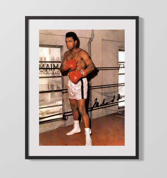 Muhammad Ali Training Pose in Ring Boxing Wall Art 16x20 Gallery Framed Artwork wall art print – Boxing Wall Art decor