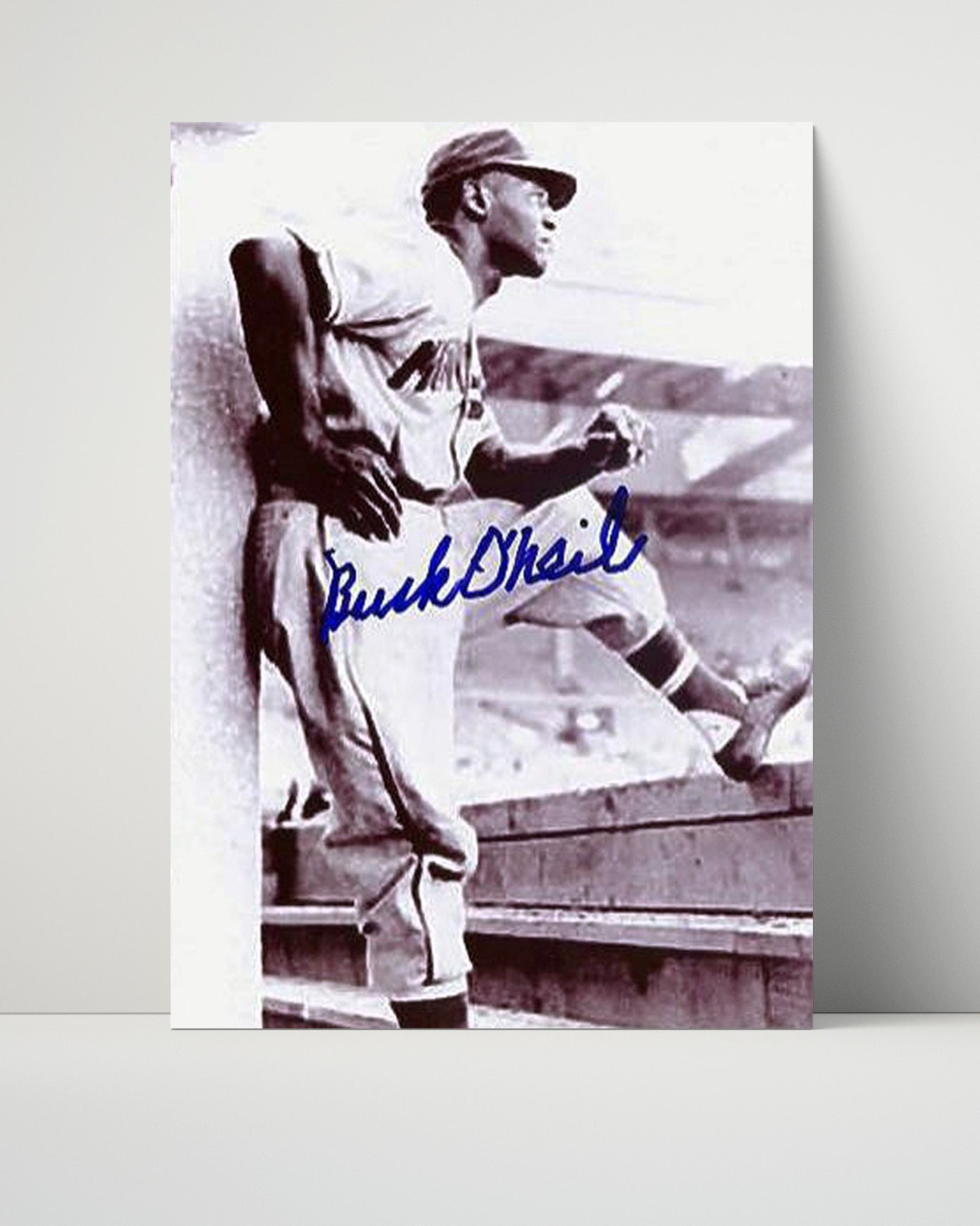 Buck ONeil Autograph Poster - Dugout View - Negro Leagues Legend