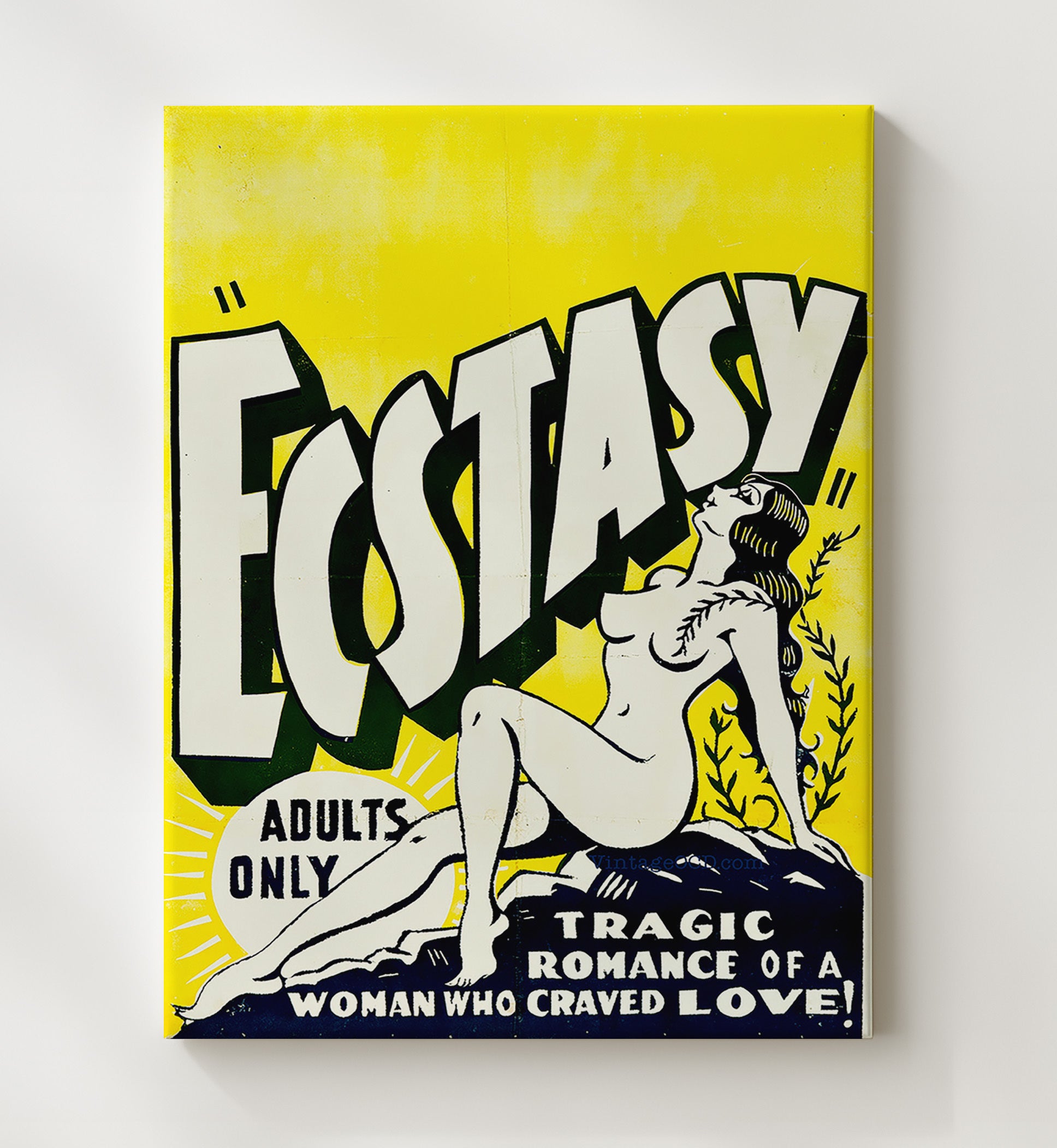 Ecstasy Adults Only Show 20x24 Canvas wall art print – Burlesque Poster decor