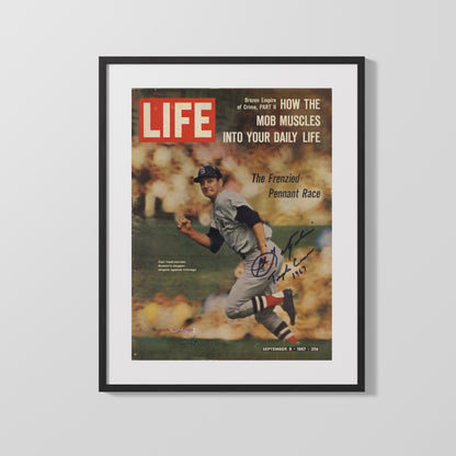 Carl Yastrzemski Autograph Print - Life Cover 1967 - Pennant Chase