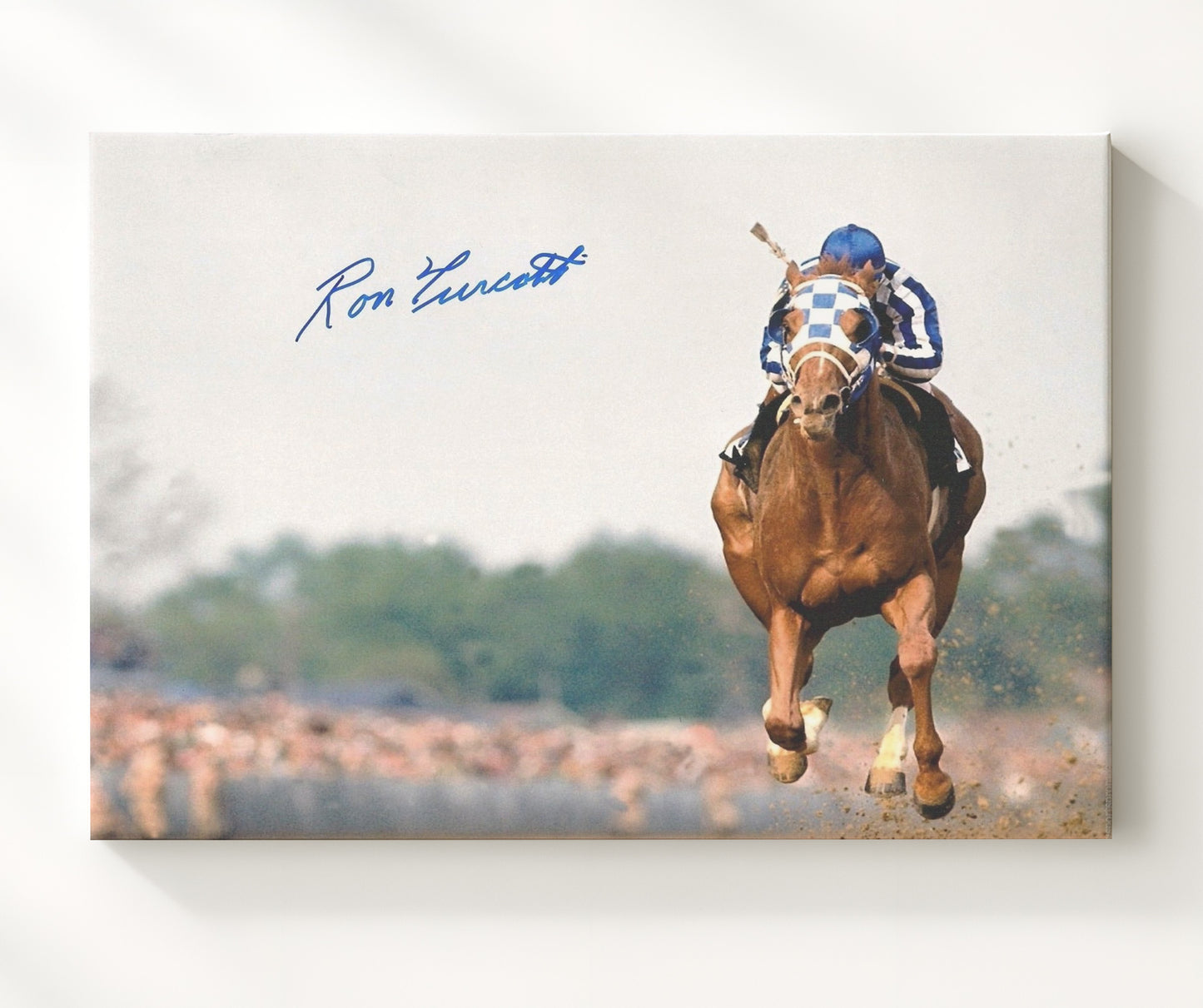 Ron Turcotte Secretariat Triple Crown Jockey Racing Celebrity Wall Art 20x24 Canvas celebrity wall art print