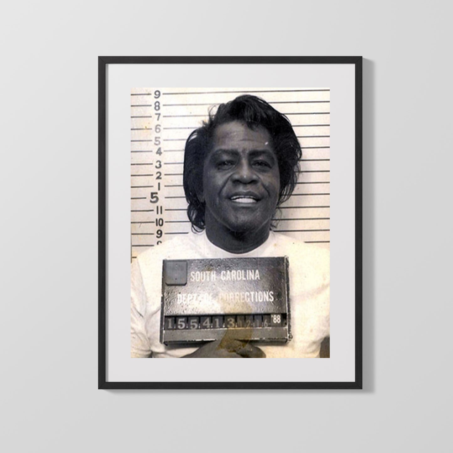 Celebrity Mug Shot - James Brown - Godfather of Mugshots