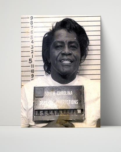 Celebrity Mug Shot Unframed- James Brown - Godfather of Mugshots