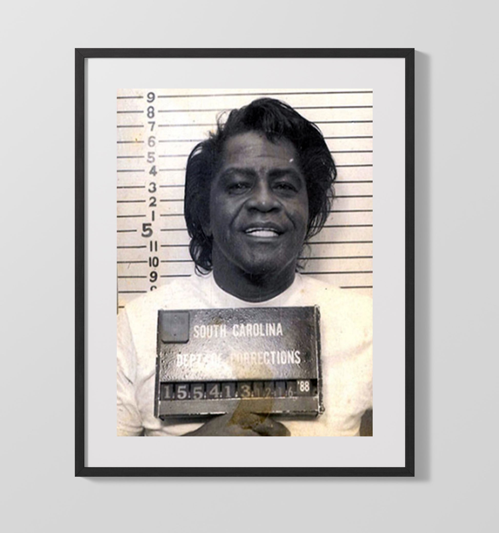 James Brown South Carolina Corrections 1988 Mug Shot Print 16x20 Gallery Frame mug shot wall art print