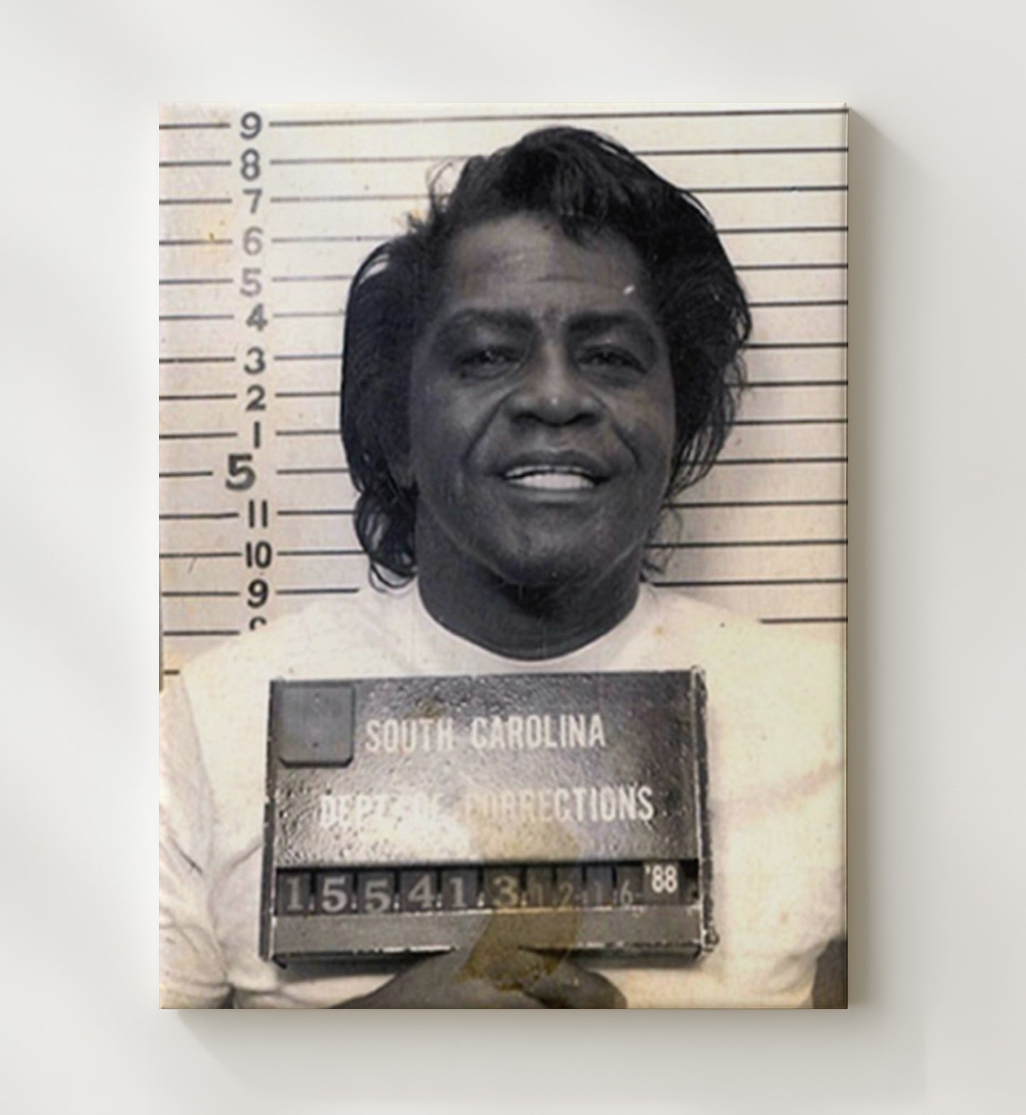James Brown South Carolina Corrections 1988 Mug Shot Print 20x24 Canvas mug shot wall art print