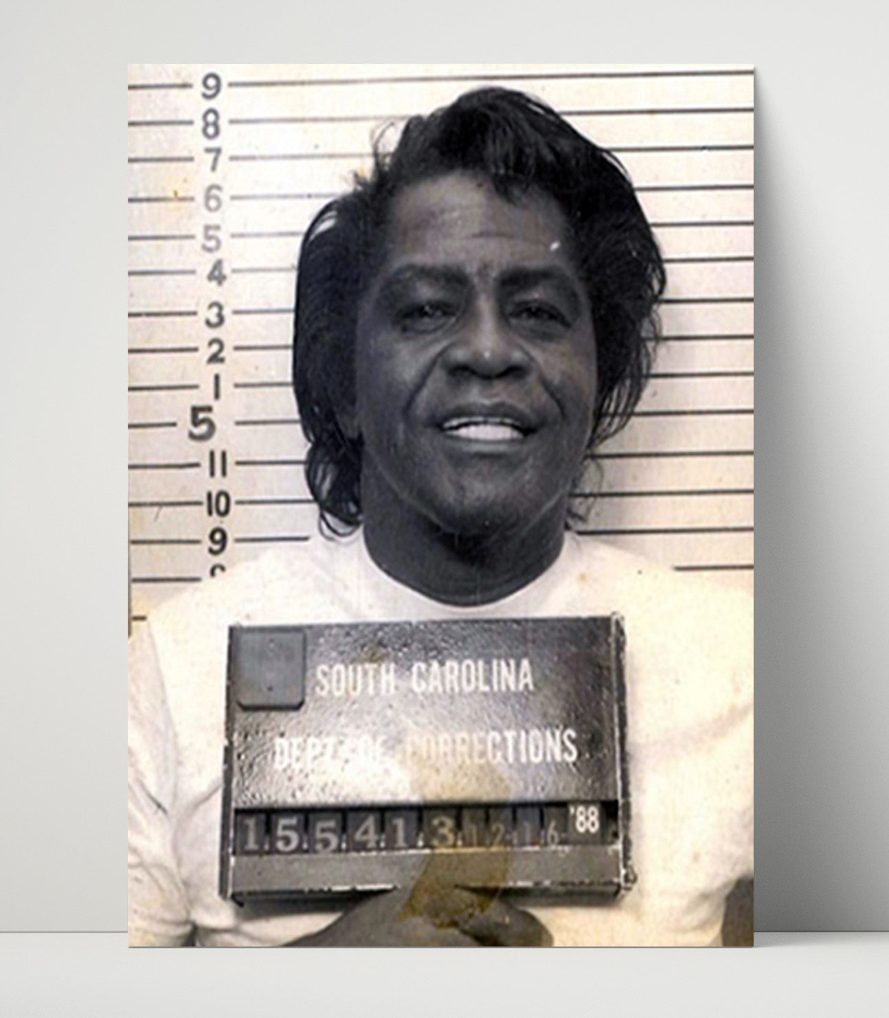 James Brown South Carolina Corrections 1988 Mug Shot Print 16x20 Unframed Print mug shot wall art print