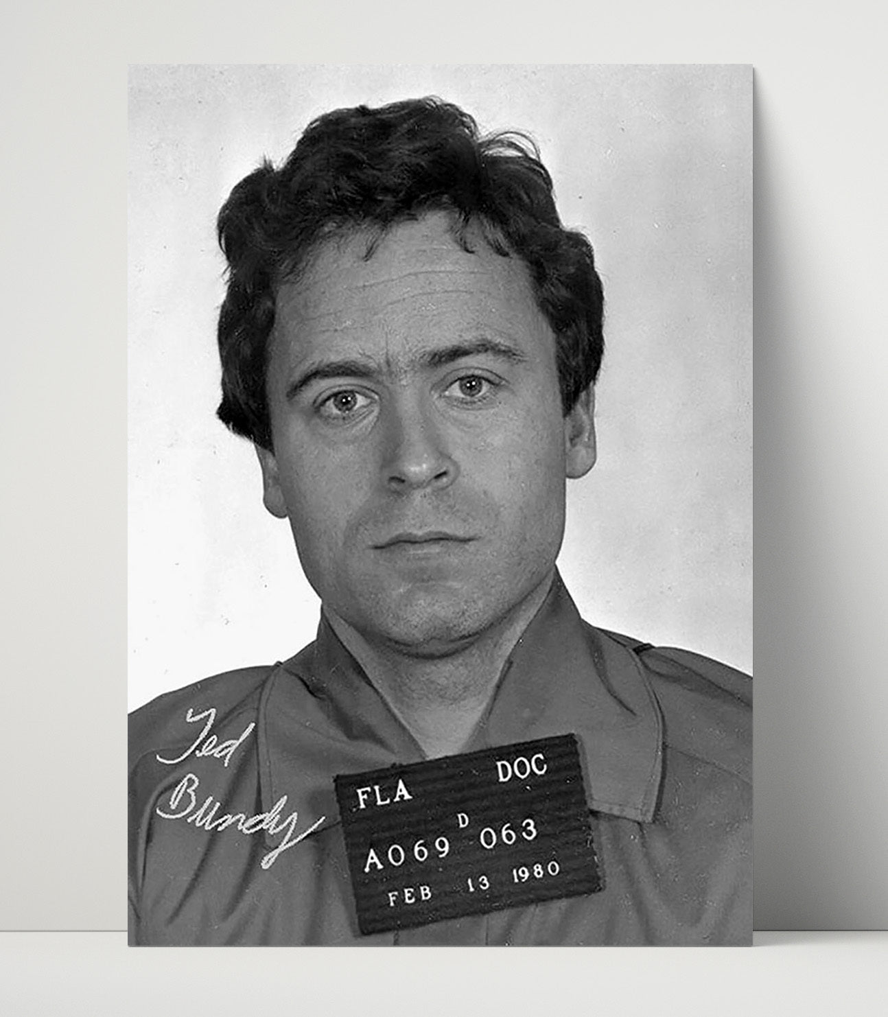 Ted Bundy Florida Department of Corrections 1980 Mug Shot Print 16x20 Unframed Print mug shot wall art print
