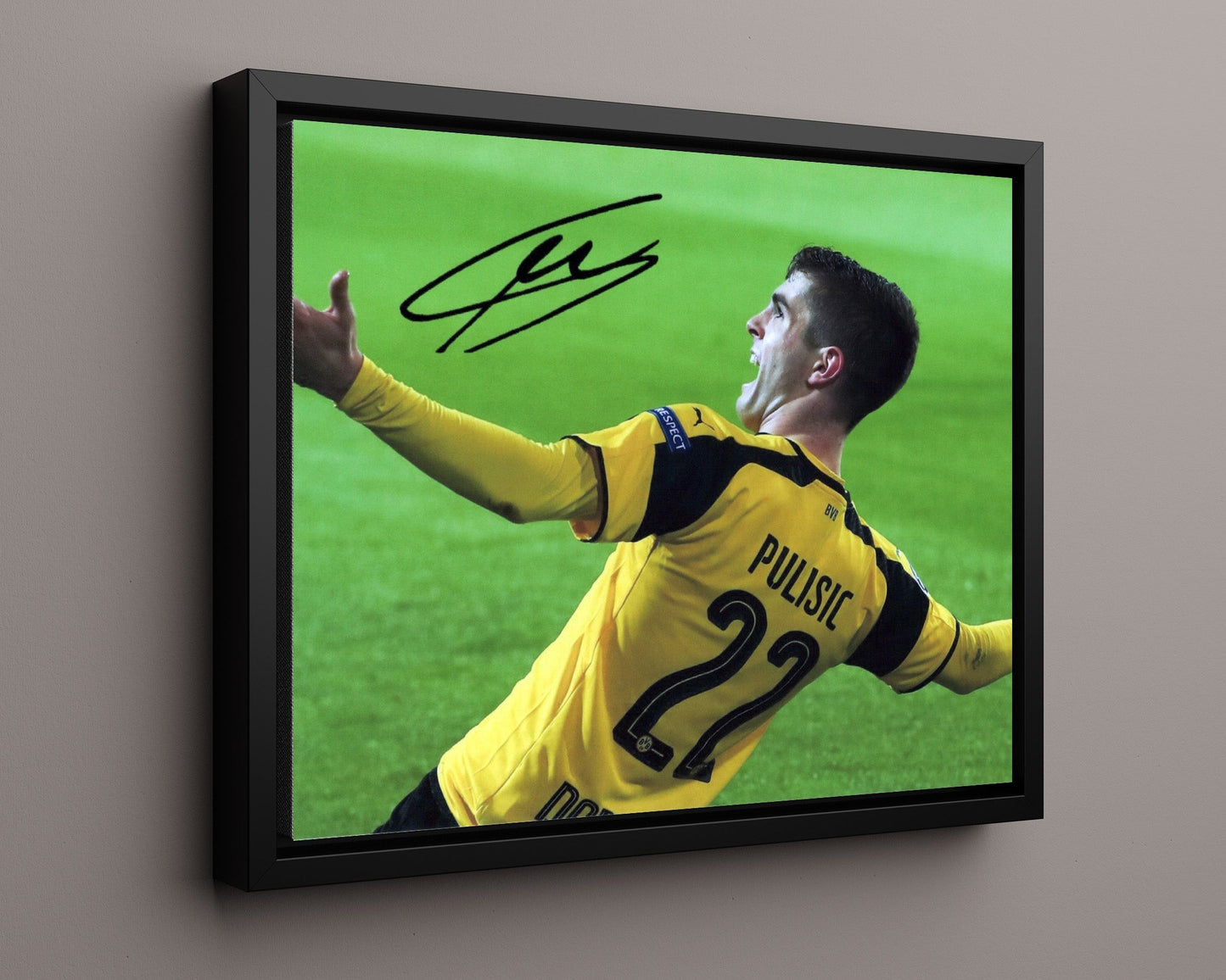 Christian Pulisic - Borussia Dortmund - Celebration