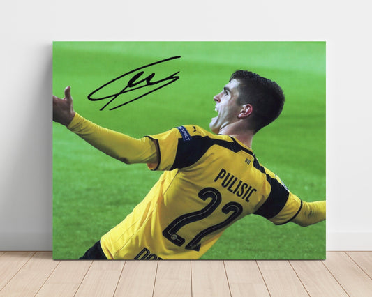 Christian Pulisic - Borussia Dortmund - Celebration