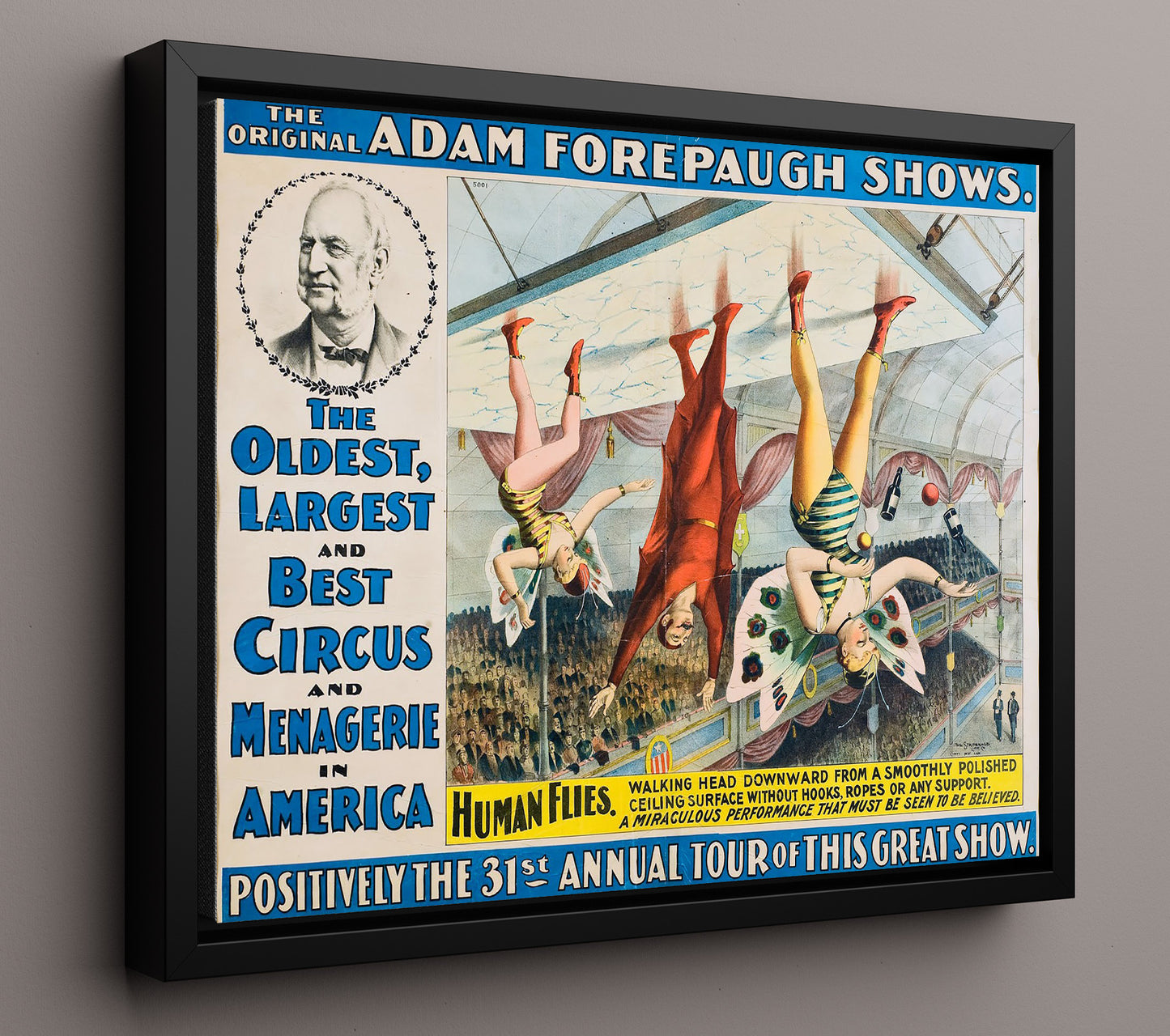 Adam Forepaugh The Human Flies Vintage Circus Print 16x20 Framed Canvas circus wall art print