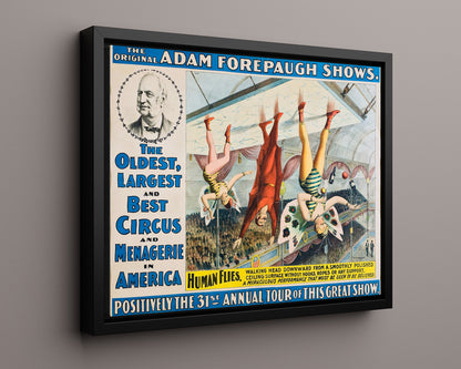 Circus Poster - Adam Forepaugh - The Human Flies