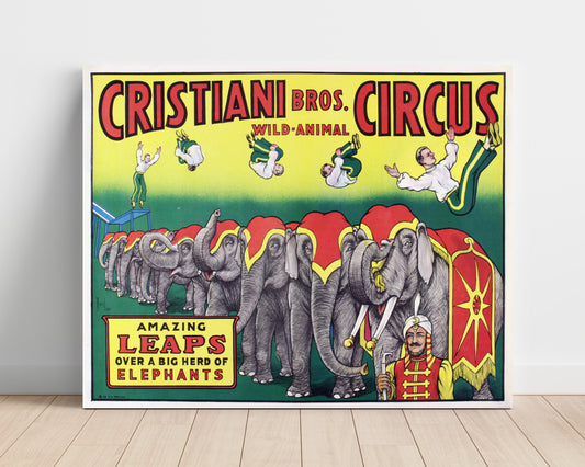Cristiani Bros. - Amazing Leaps - Vintage Circus - 16x20 Unframed Print