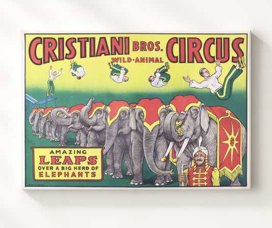 Cristiani Bros. - Amazing Leaps - Canvas vintage circus poster wall art