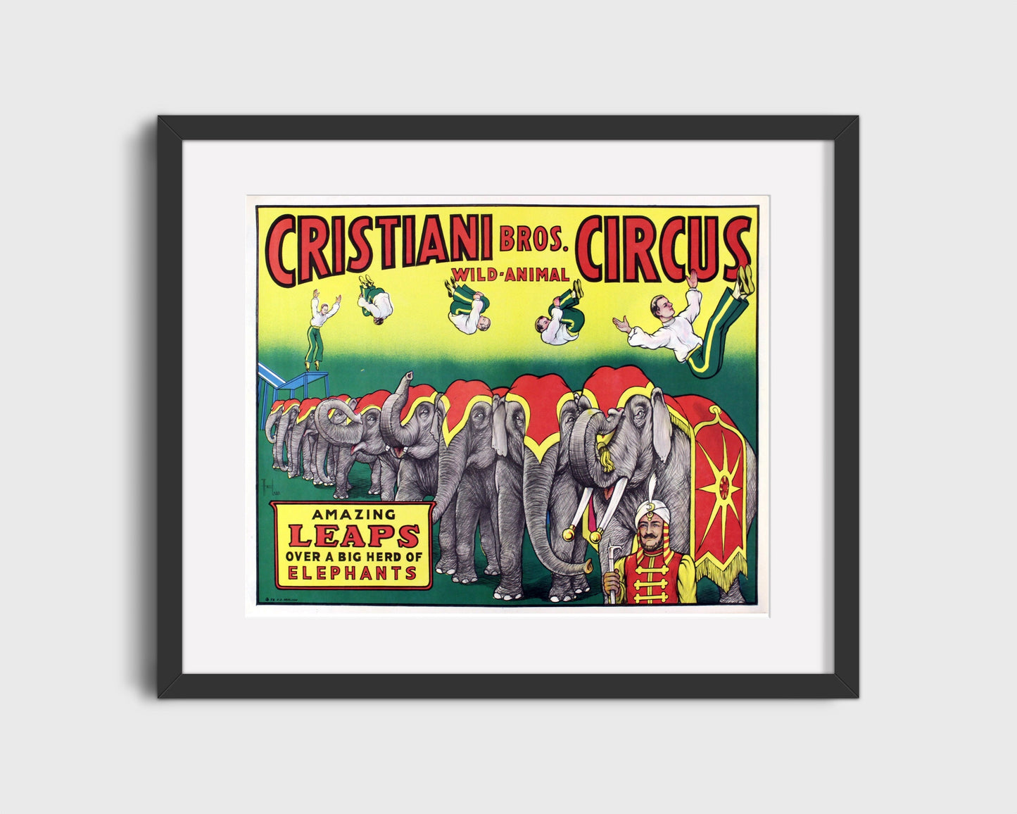 Circus Poster Unframed - Cristiani Bros - Amazing Leaps
