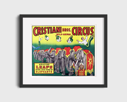 Circus Poster Unframed - Cristiani Bros - Amazing Leaps
