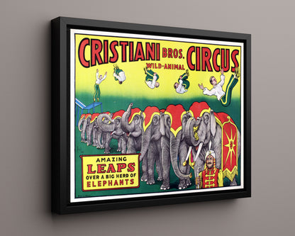 Circus Poster - Cristiani Bros - Amazing Leaps