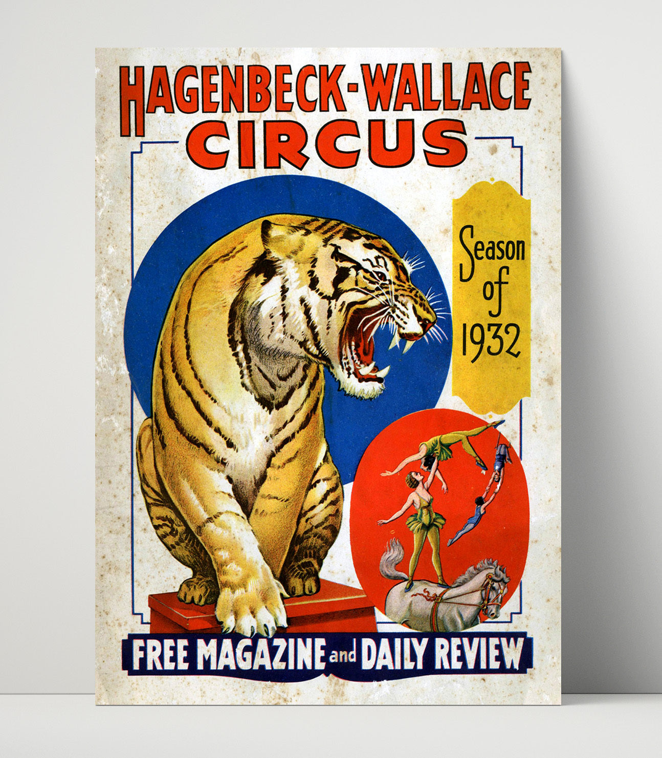 Hagenbeck Wallace Tiger 1932 Vintage Circus Print 16x20 Unframed Print circus wall art print