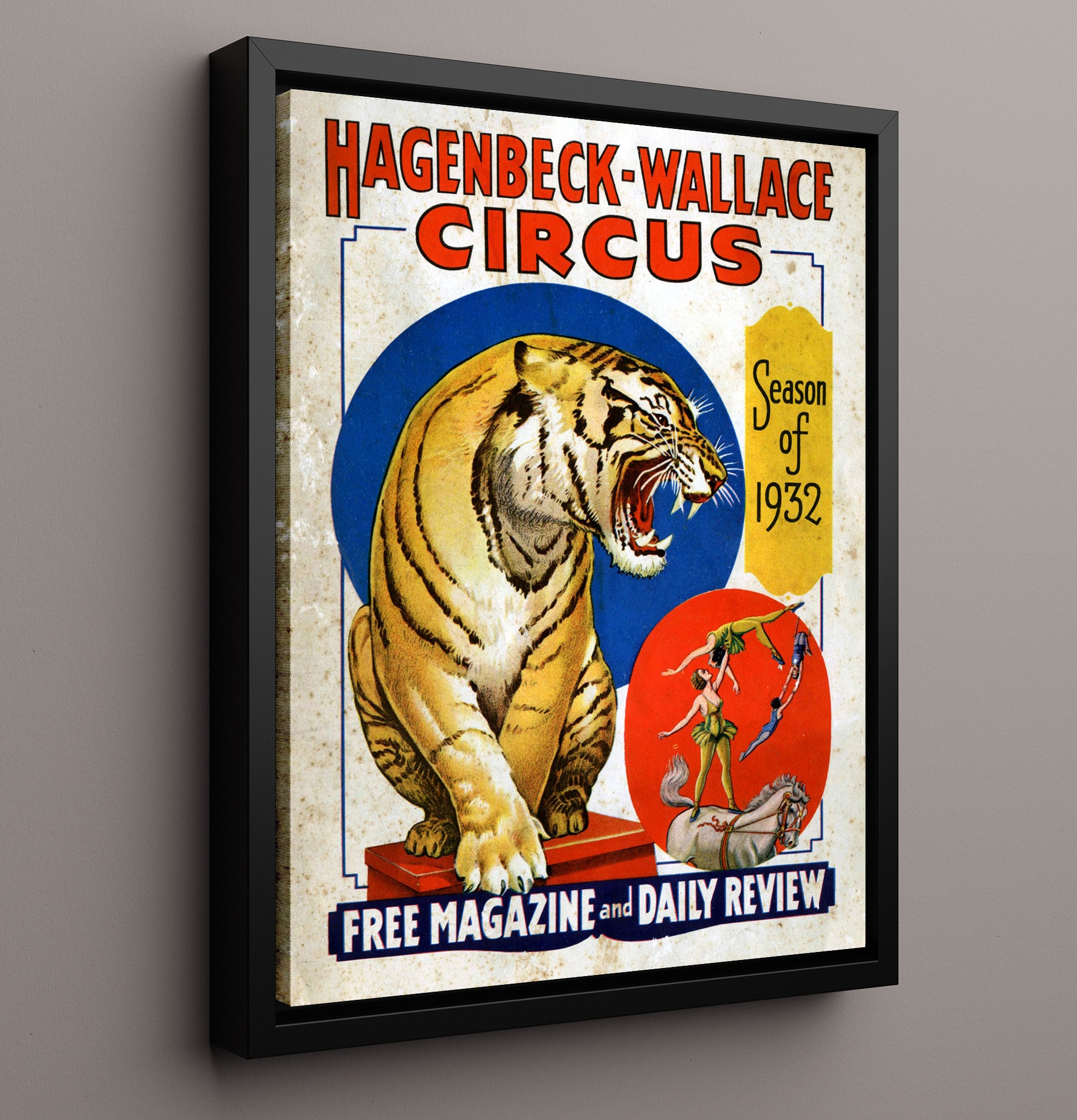Hagenbeck Wallace Tiger 1932 Vintage Circus Print 16x20 Framed Canvas circus wall art print