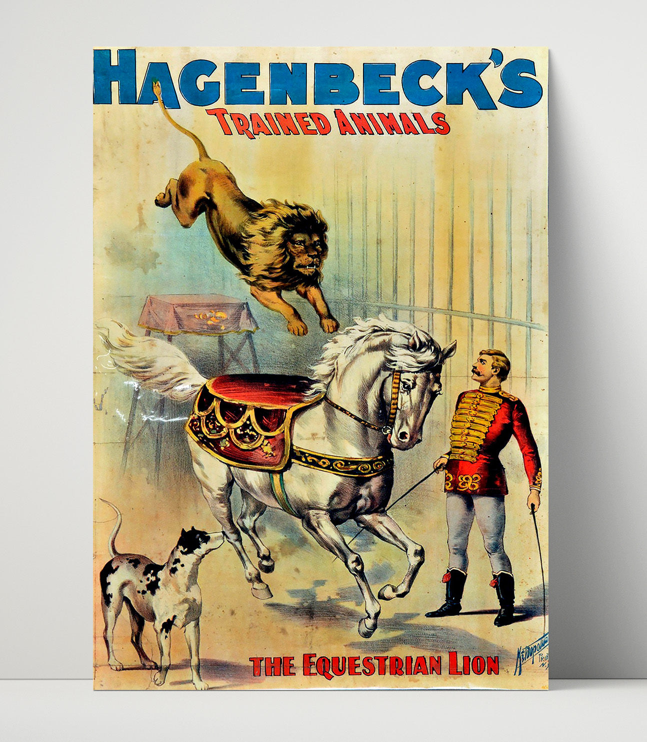 Hagenbeck Equestrian Lion Vintage Circus Print 16x20 Unframed Print circus wall art print