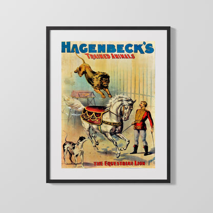 Circus Poster Unframed - Hagenbeck - Equestrian Lion
