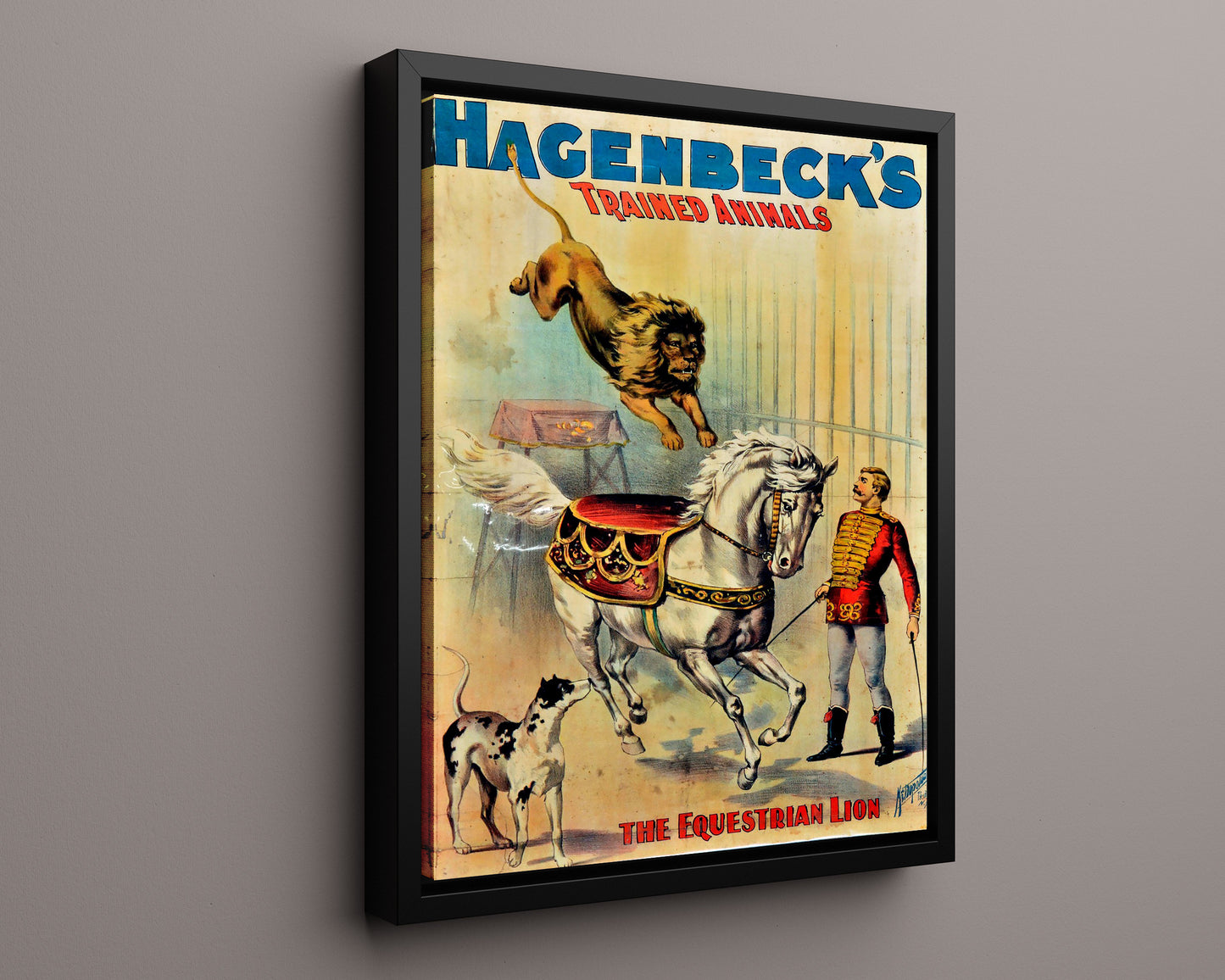 Circus Poster - Hagenbeck - Equestrian Lion