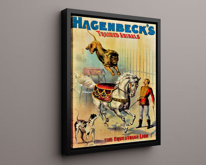 Circus Poster - Hagenbeck - Equestrian Lion