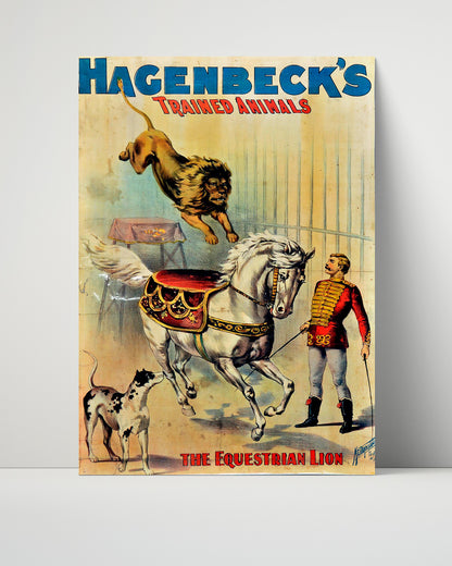 Circus Poster - Hagenbeck - Equestrian Lion