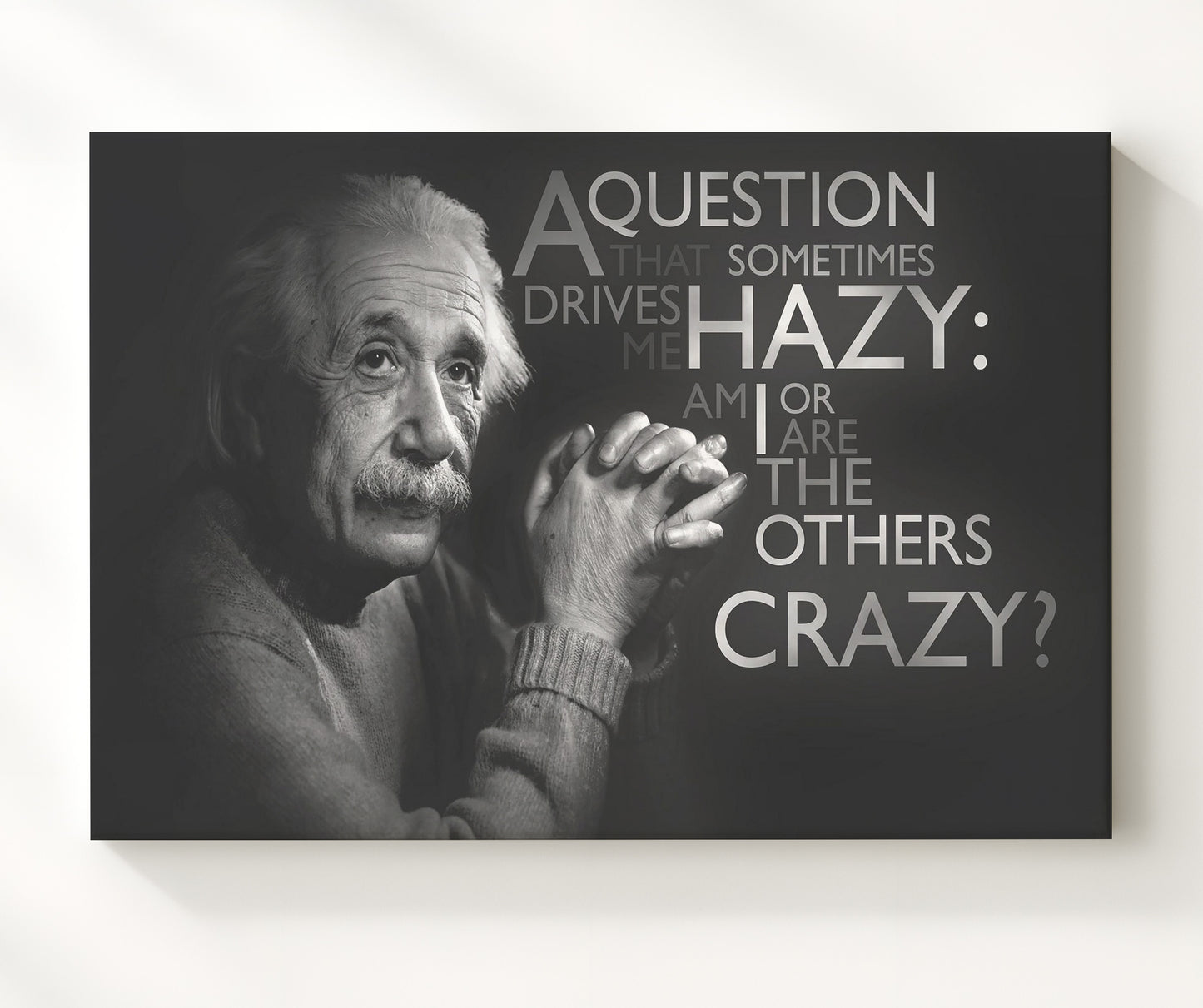 Albert Einstein Am I crazy or others Quote Print 20x24 Canvas quote wall art print