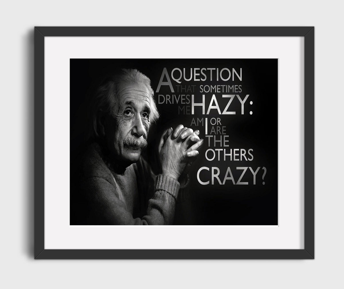 Albert Einstein Am I crazy or others Quote Print 20x24 Canvas quote wall art print