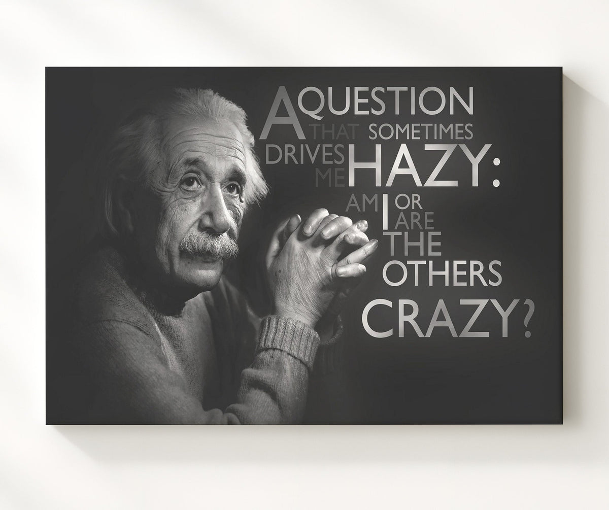Albert Einstein Am I crazy or others Quote Print 8x10 Beveled Frame quote wall art print