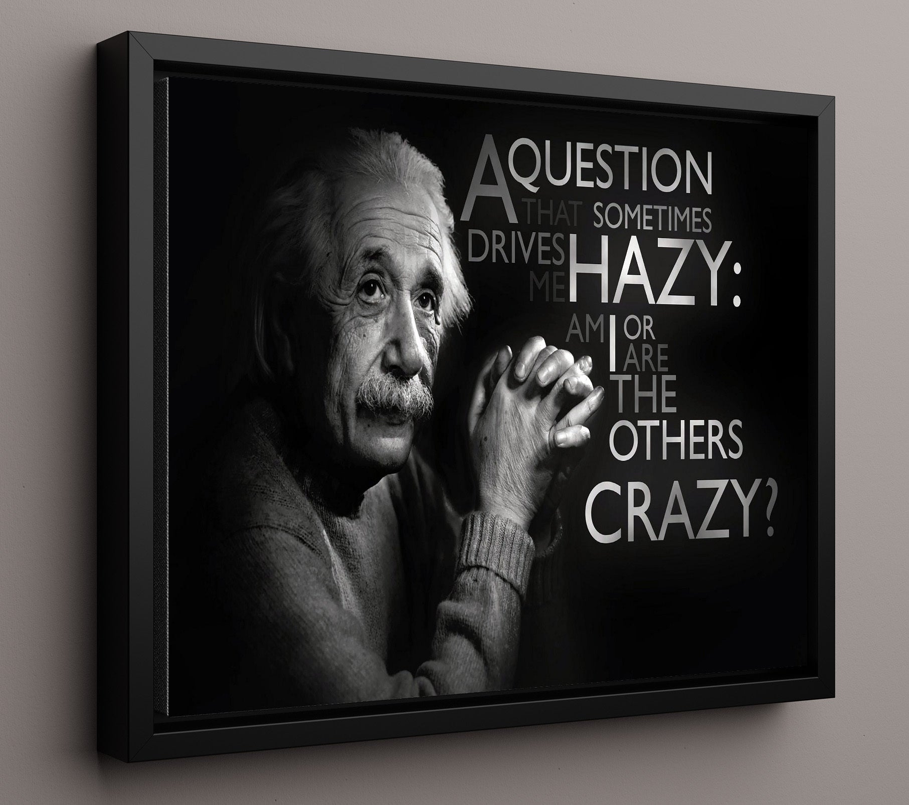 Albert Einstein Am I crazy or others Quote Print 16x20 Framed Canvas quote wall art print
