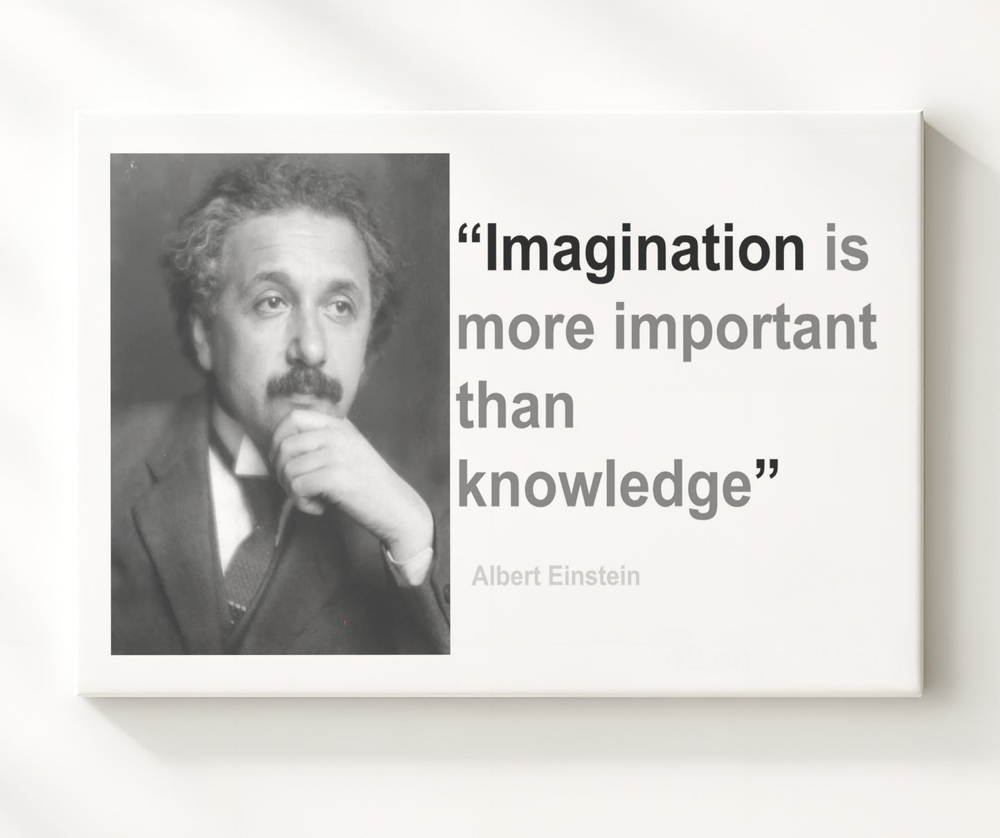 Albert Einstein Imagination over knowledge Quote Print 20x24 Canvas quote wall art print