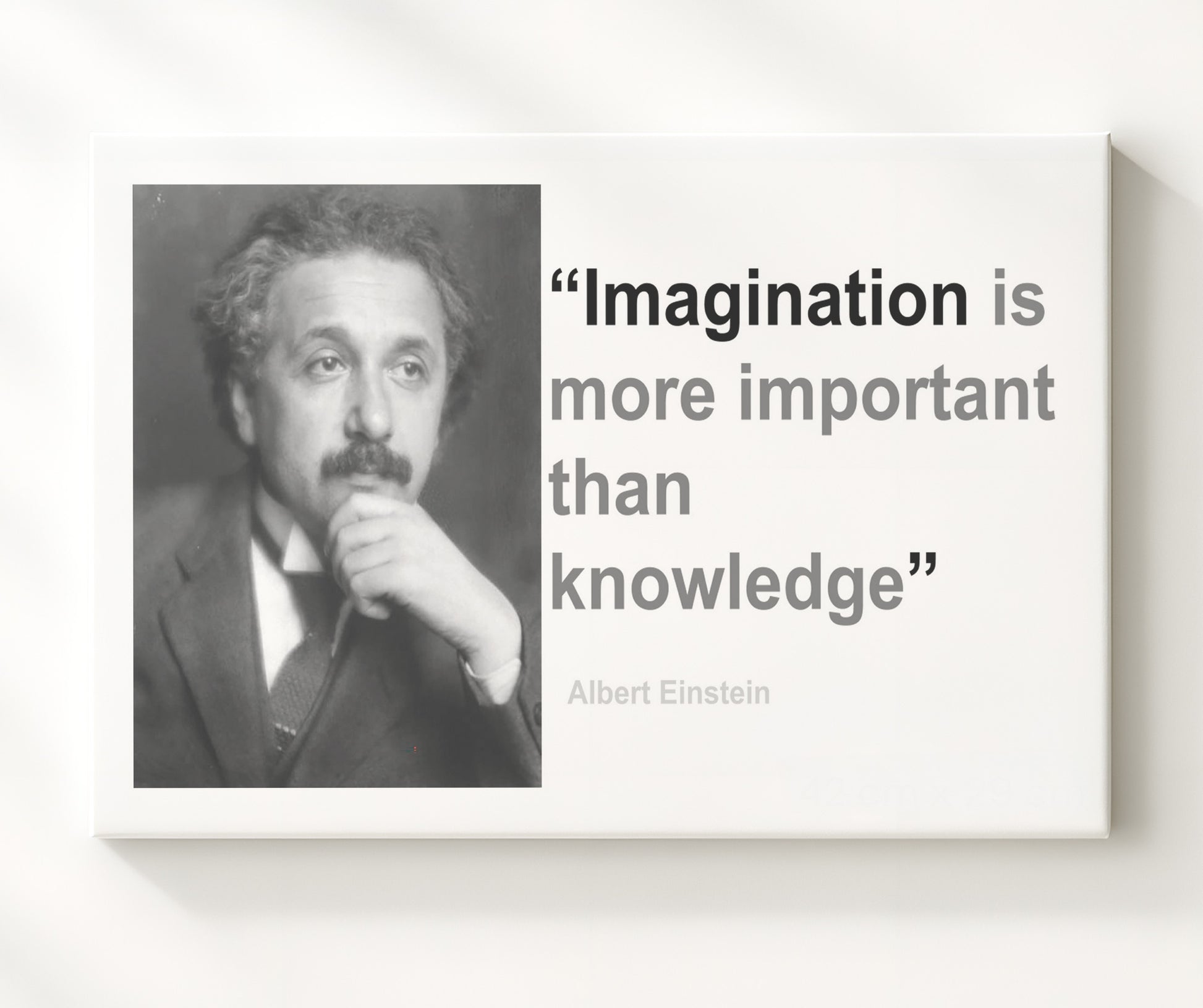Albert Einstein Imagination over knowledge Quote Print 20x24 Canvas quote wall art print