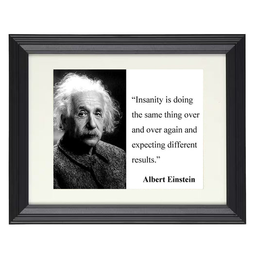 Albert Einstein Insanity definition Quote Print 16x20 Unframed Print quote wall art print