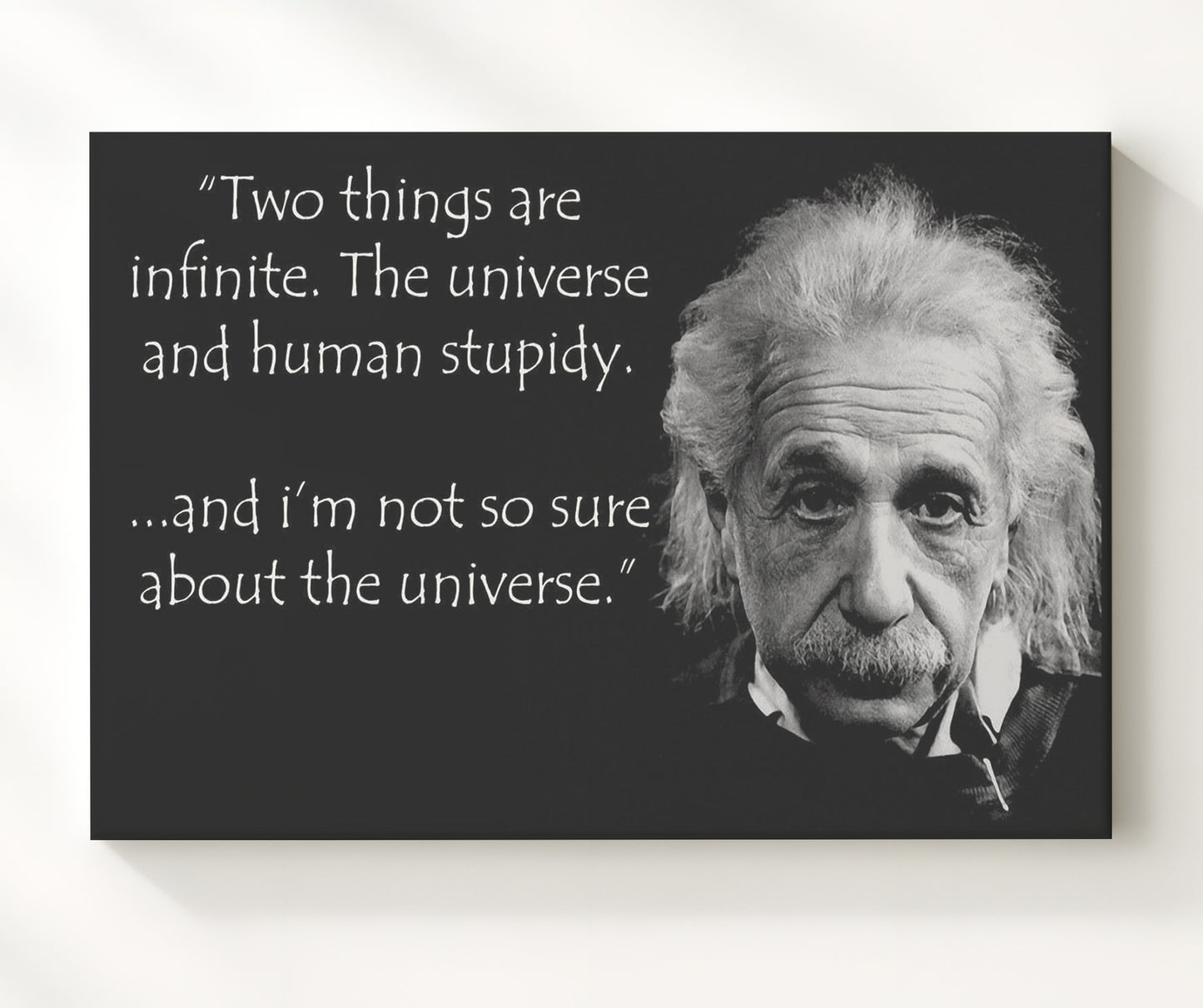Albert Einstein Not sure about universe Quote Print 20x24 Canvas quote wall art print