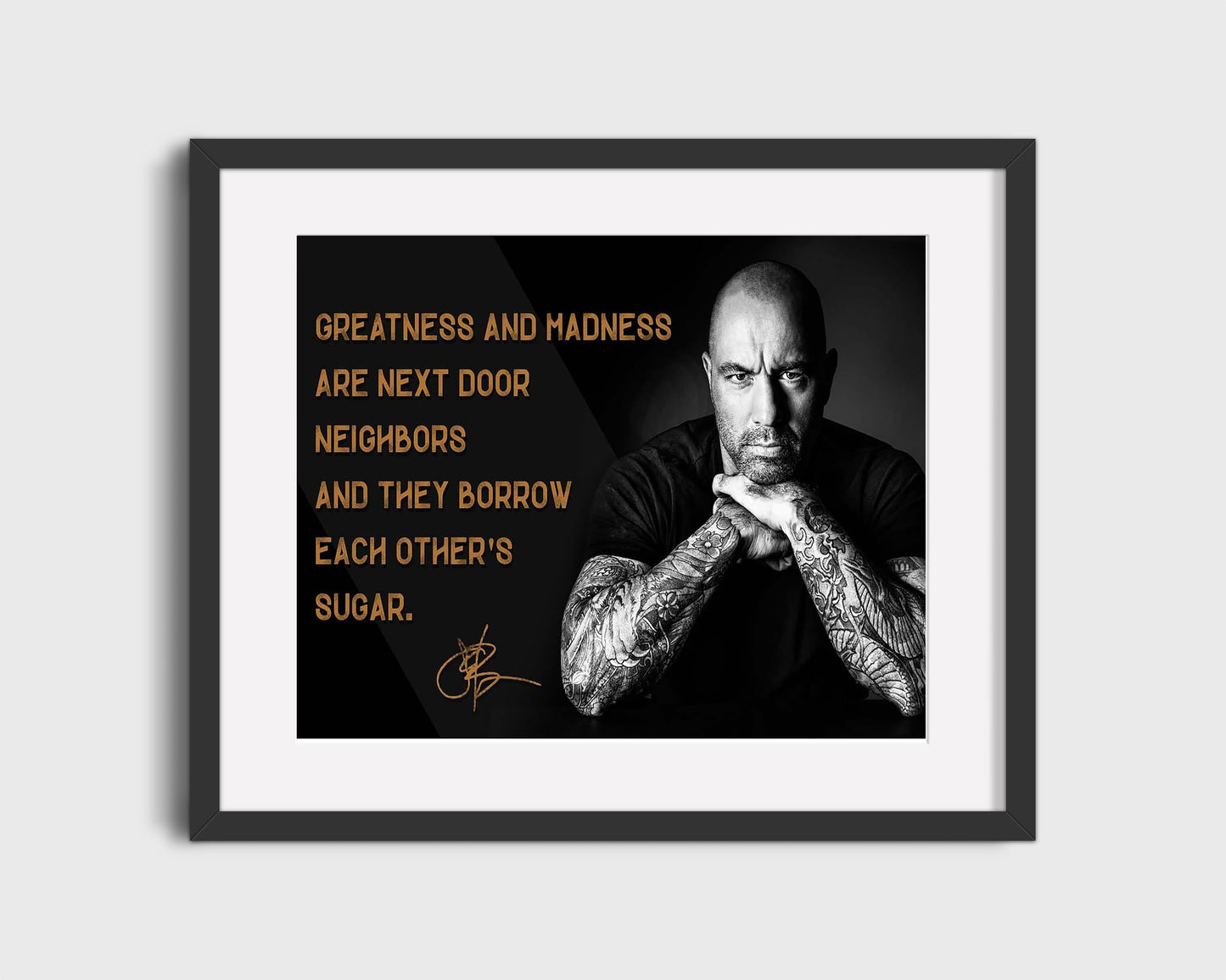 Classic Quotes - Joe Rogan - Greatness meets madness