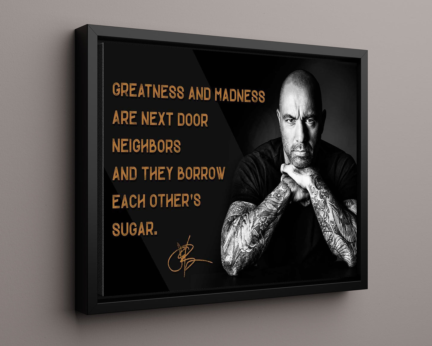 Classic Quotes - Joe Rogan - Greatness meets madness