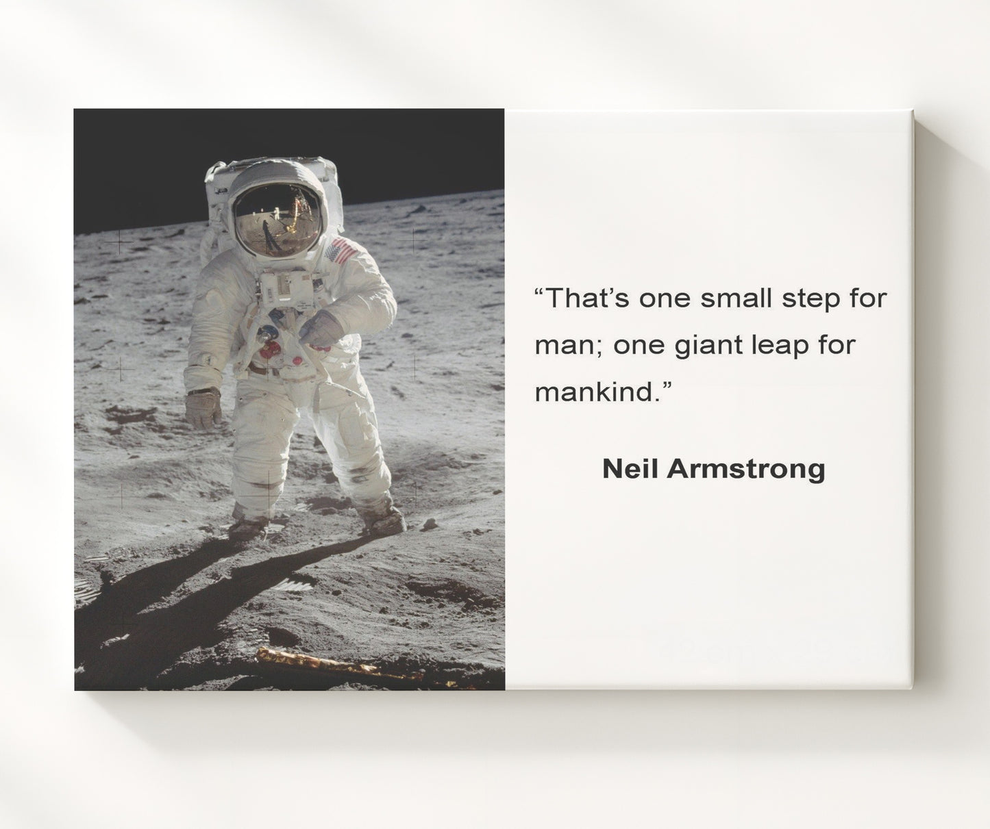 Neil Armstrong One giant leap Quote Print 20x24 Canvas quote wall art print