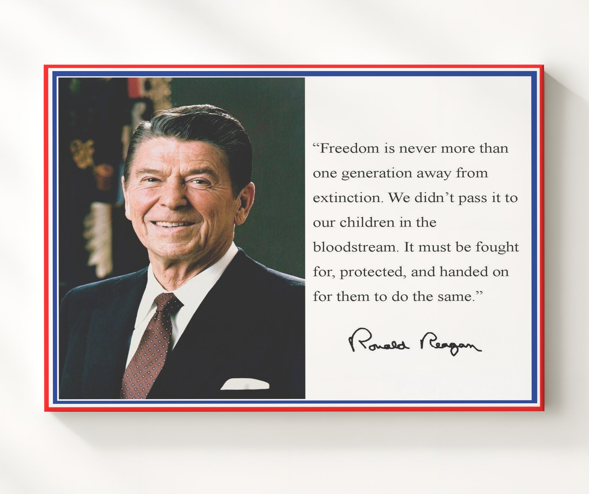 Ronald Reagan Freedoms fragile torch Quote Print 20x24 Canvas quote wall art print