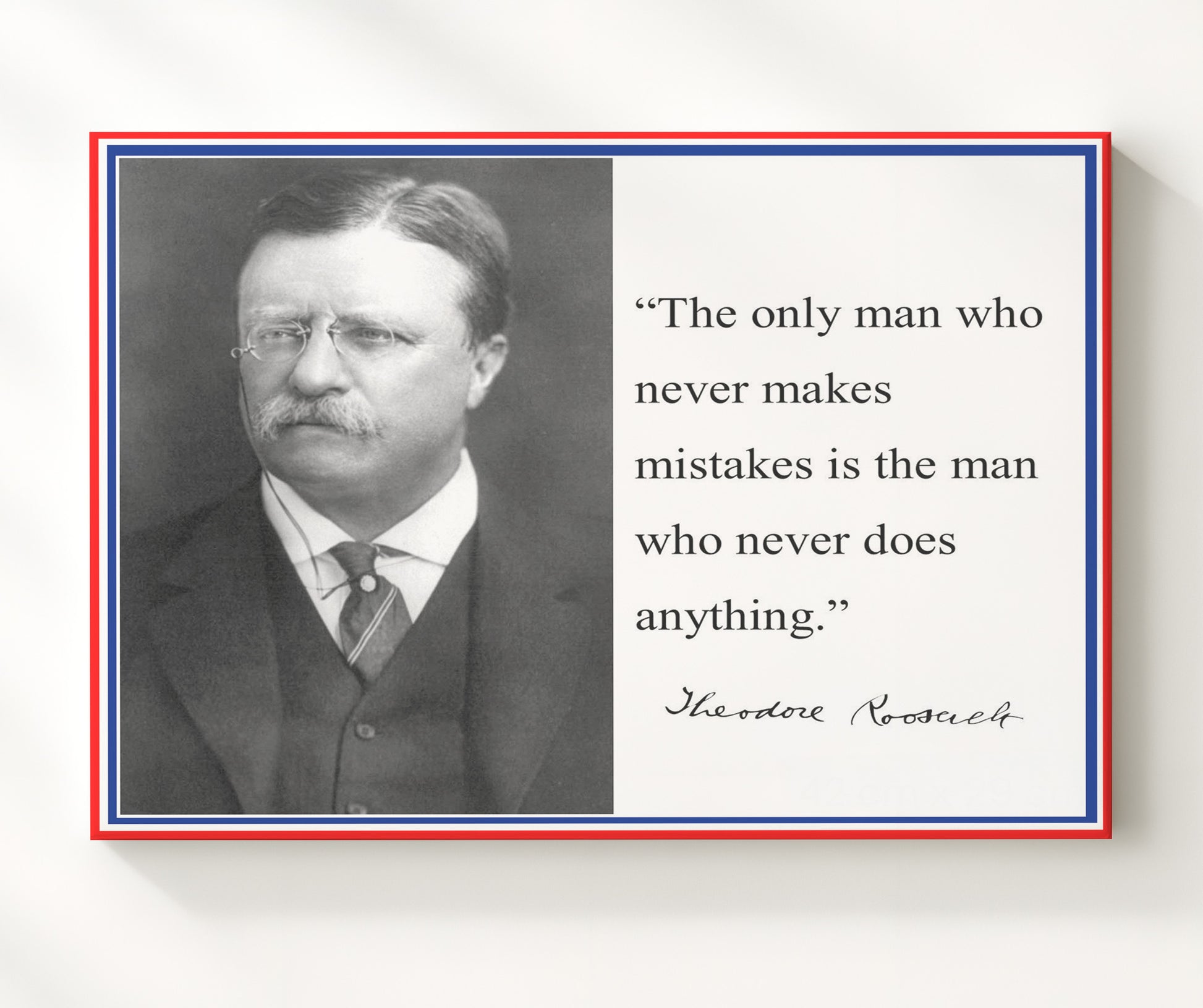 Theodore Roosevelt Mistakes prove action Quote Print 20x24 Canvas quote wall art print