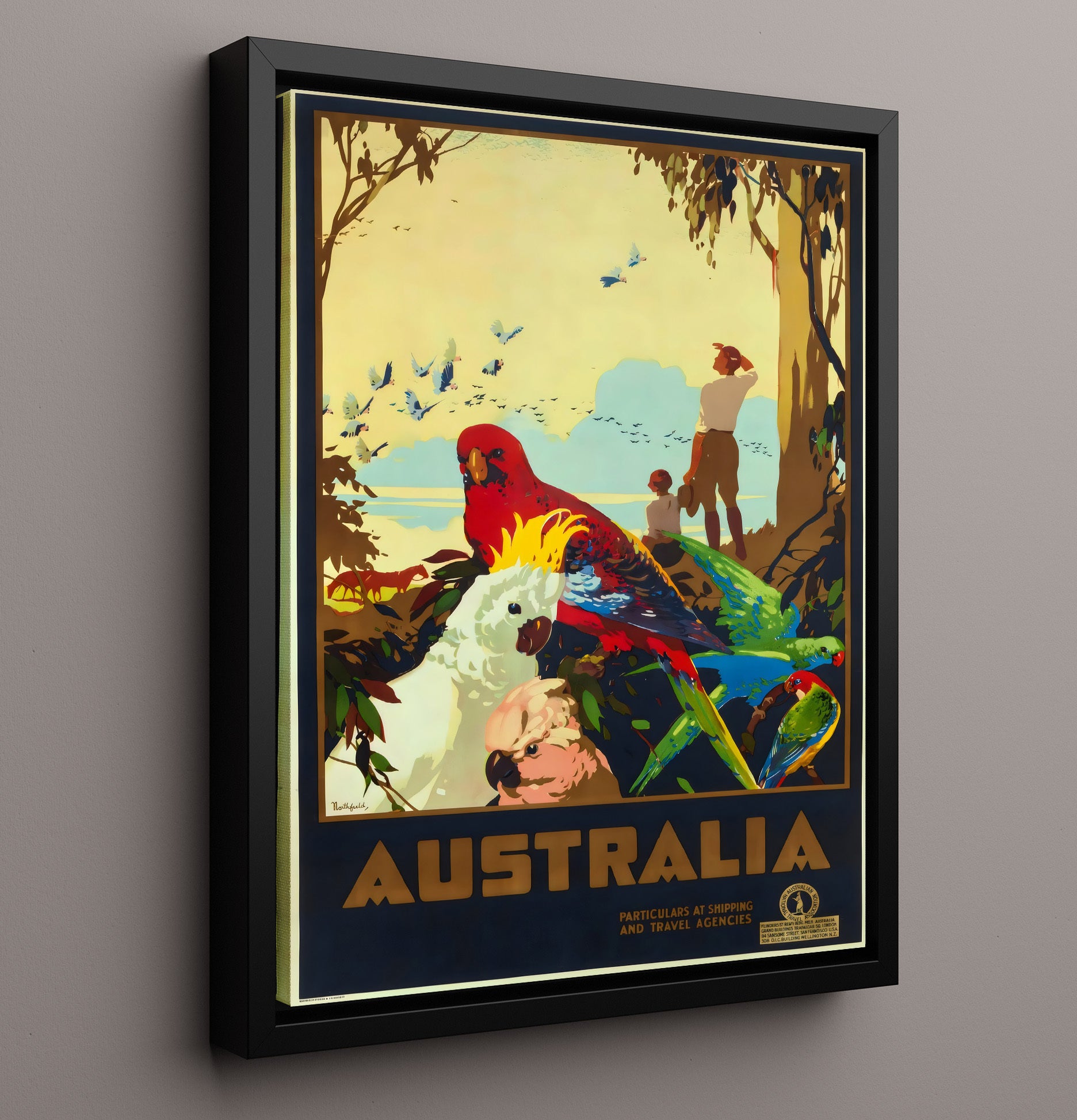 Australia Exotic Birds Vintage Travel Print 16x20 Framed Canvas travel wall art print