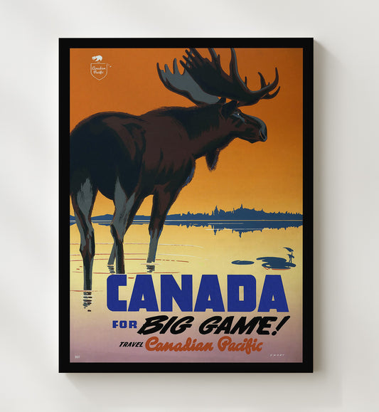 Canada Big Game Moose - Travel - 20x24 Canvas