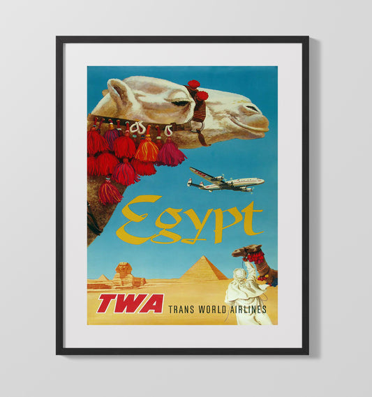 Egypt Camel Airways - Travel - 16x20 Gallery Frame