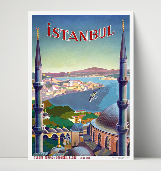 Istanbul Skyline View - Travel - 16x20 Unframed Print