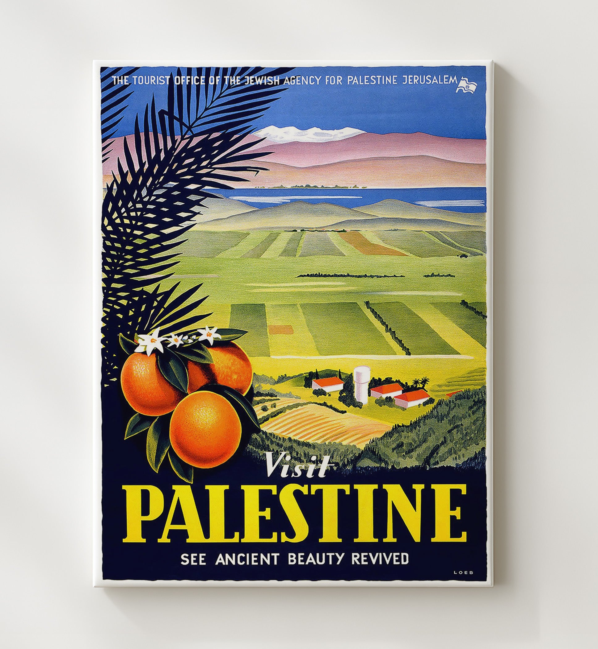 Palestine Land of the Bible Vintage Travel Print 20x24 Canvas travel wall art print