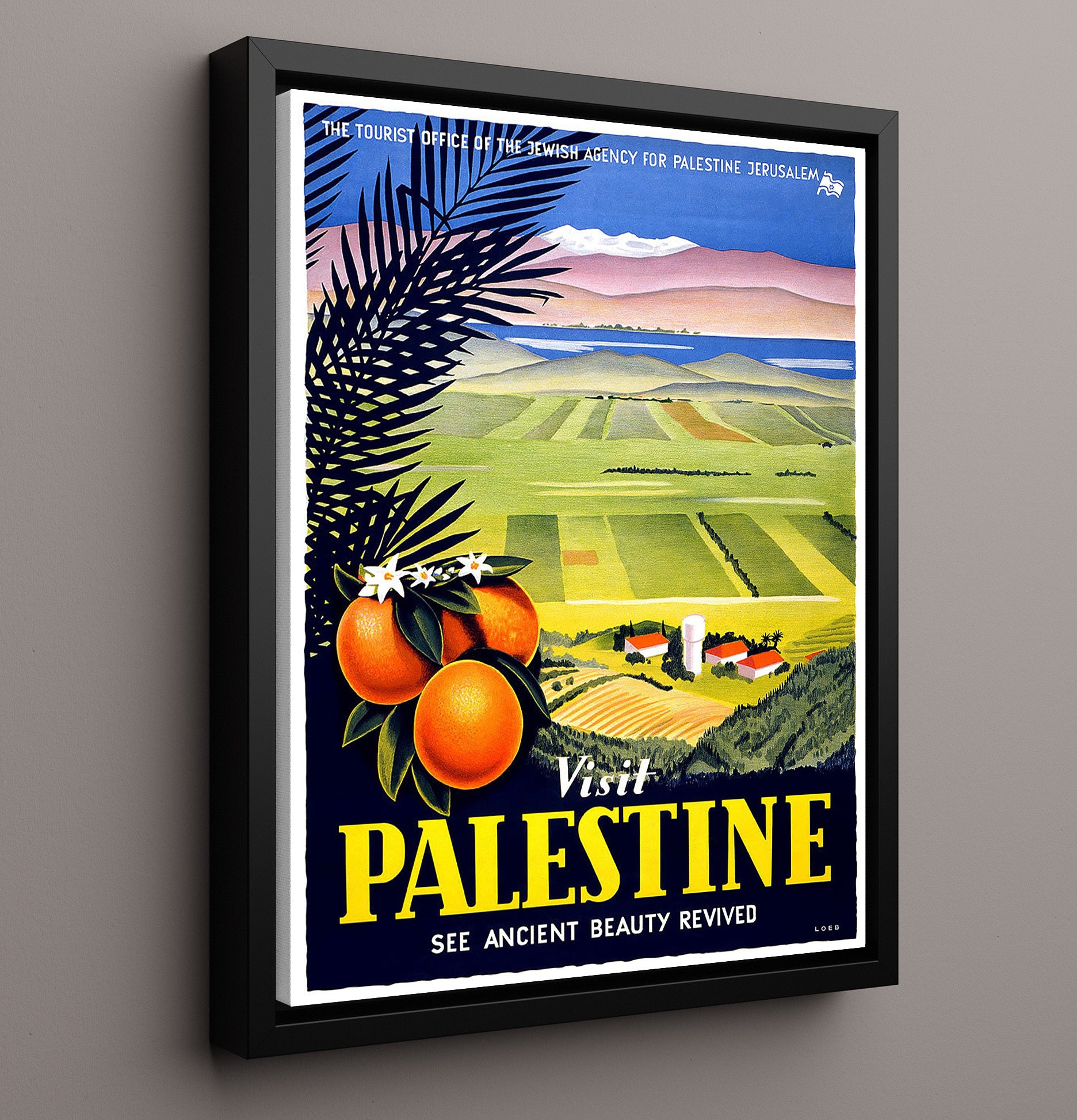 Palestine Land of the Bible Vintage Travel Print 16x20 Framed Canvas travel wall art print