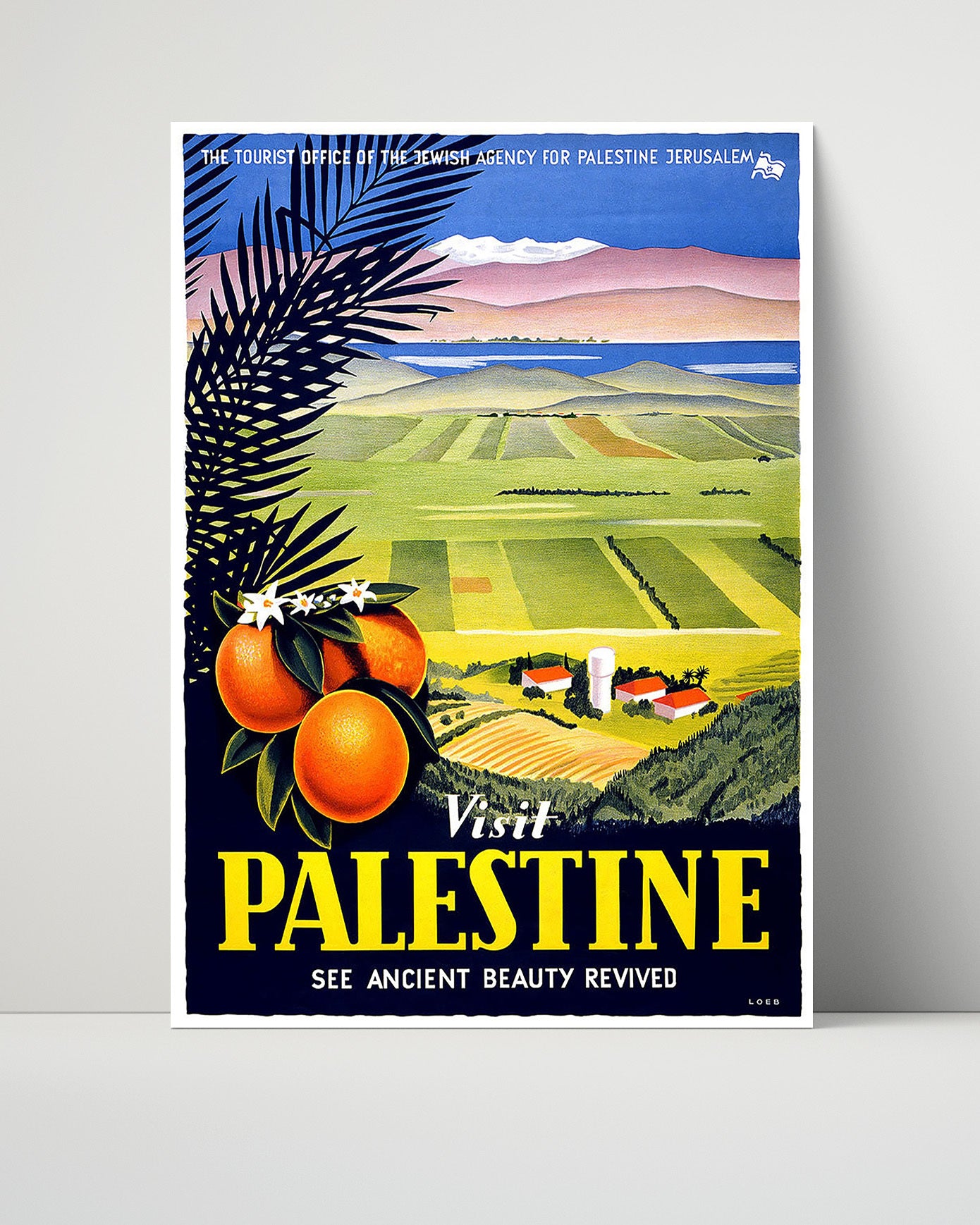 Palestine Land of the Bible Vintage Travel Print 16x20 Unframed Print travel wall art print