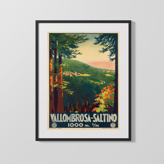 Classic Travel Poster - Vallombrosa Saltino - Italy Travel Vintage Framed Prints Gallery Frame 16x20